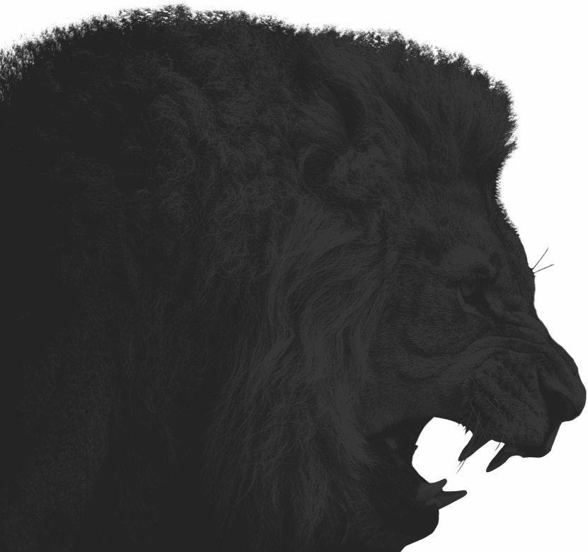 lion-head